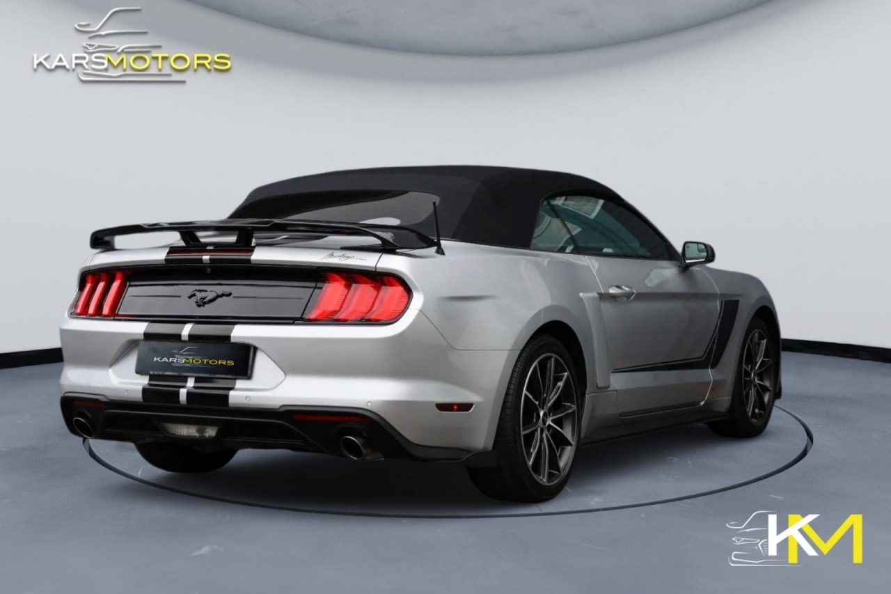 photo.jpg?1757405657