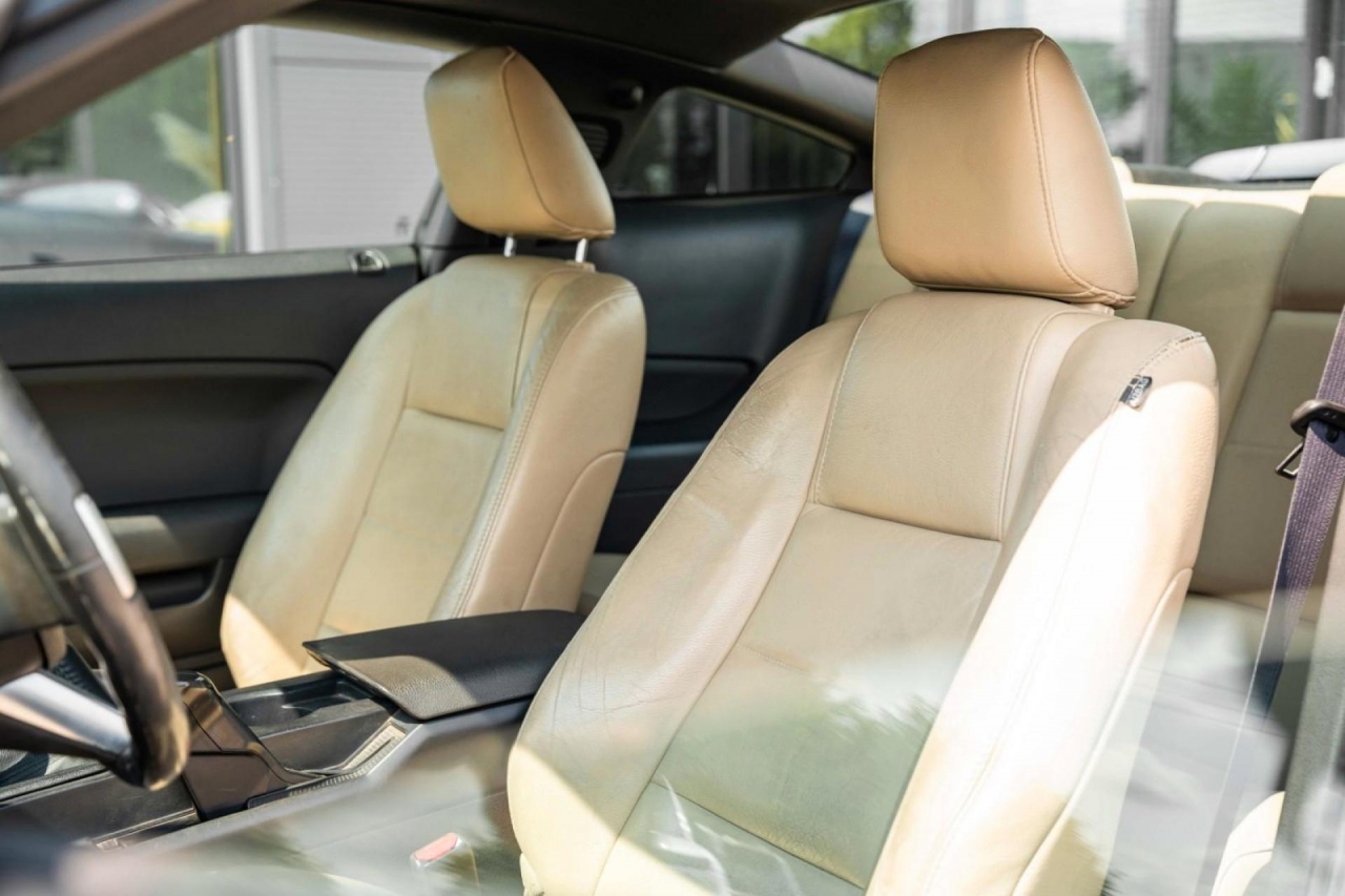 photo.jpg?1761330152