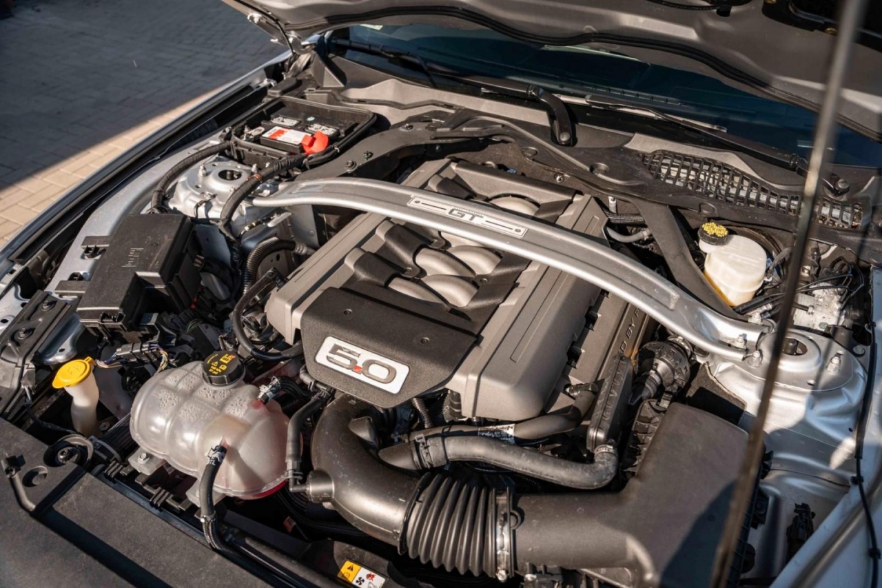 photo.jpg?1761339295