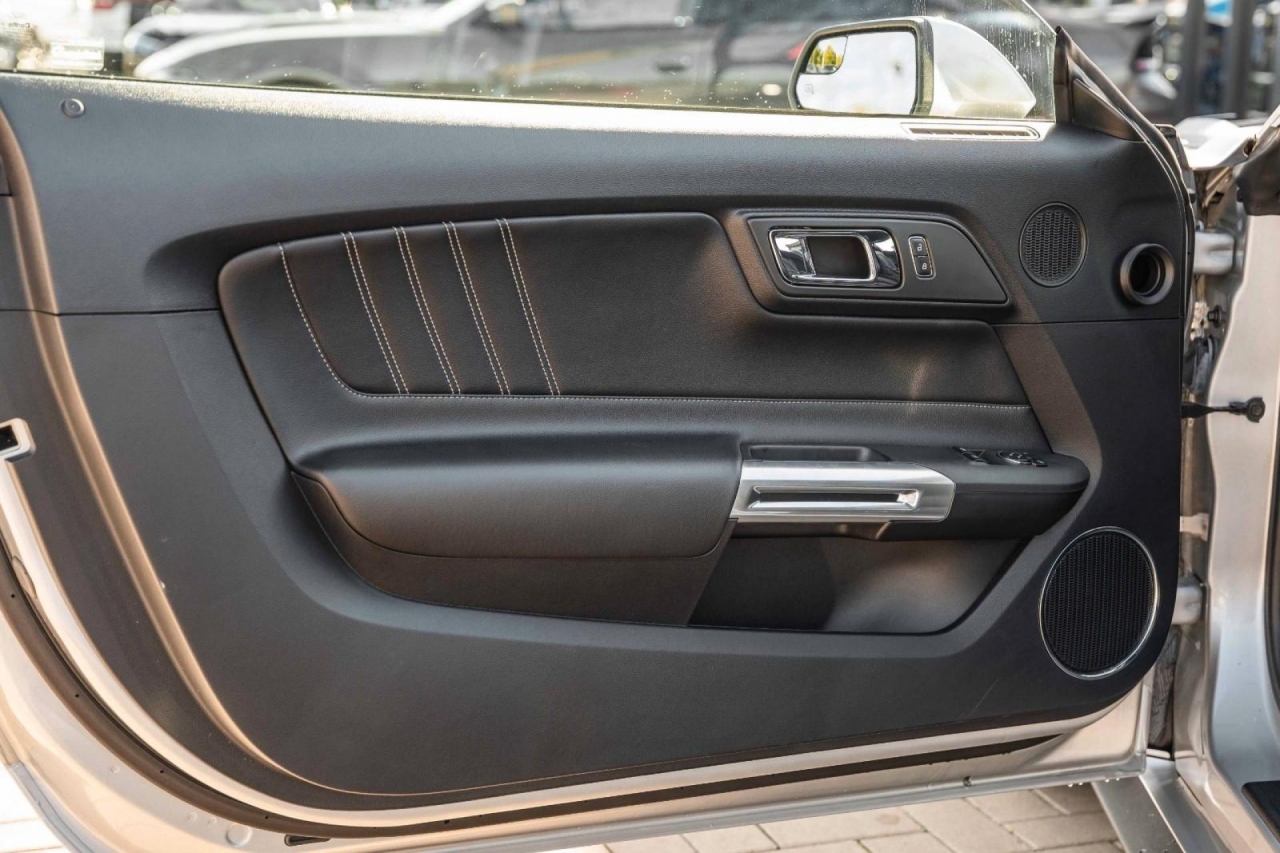 photo.jpg?1761339295