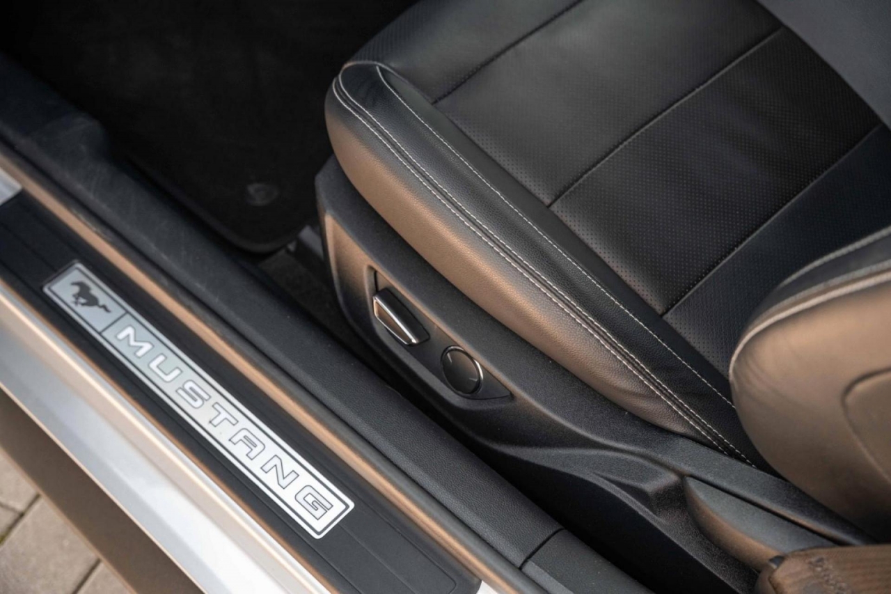 photo.jpg?1761339296