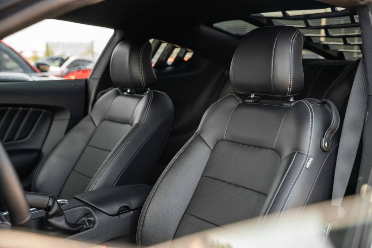 photo.jpg?1761339297