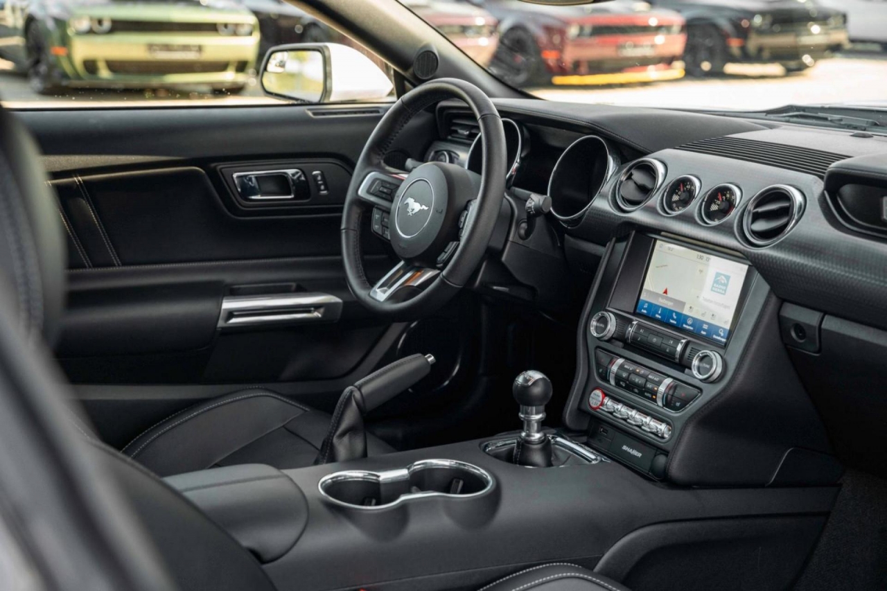 photo.jpg?1761339298