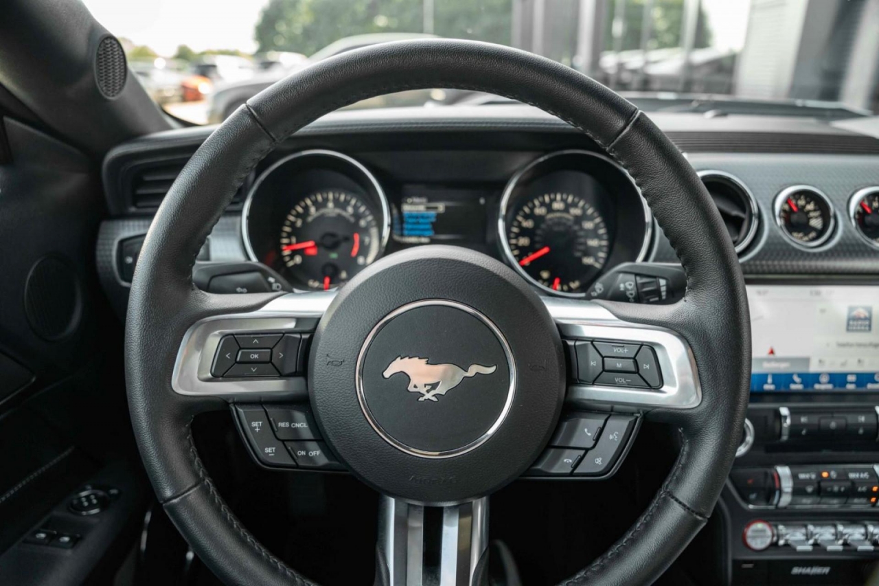 photo.jpg?1761339299