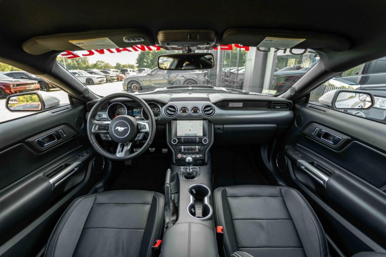 photo.jpg?1761339306