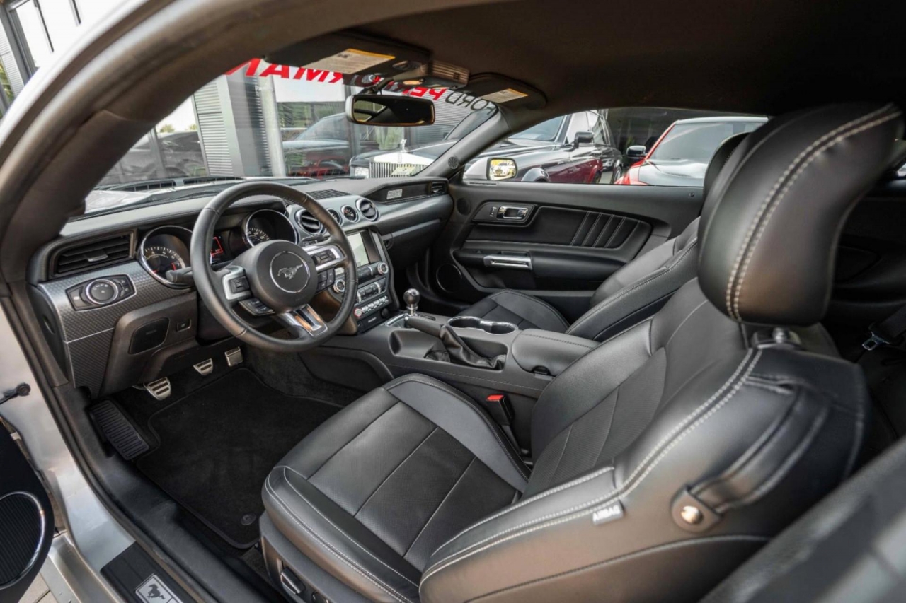 photo.jpg?1761339307