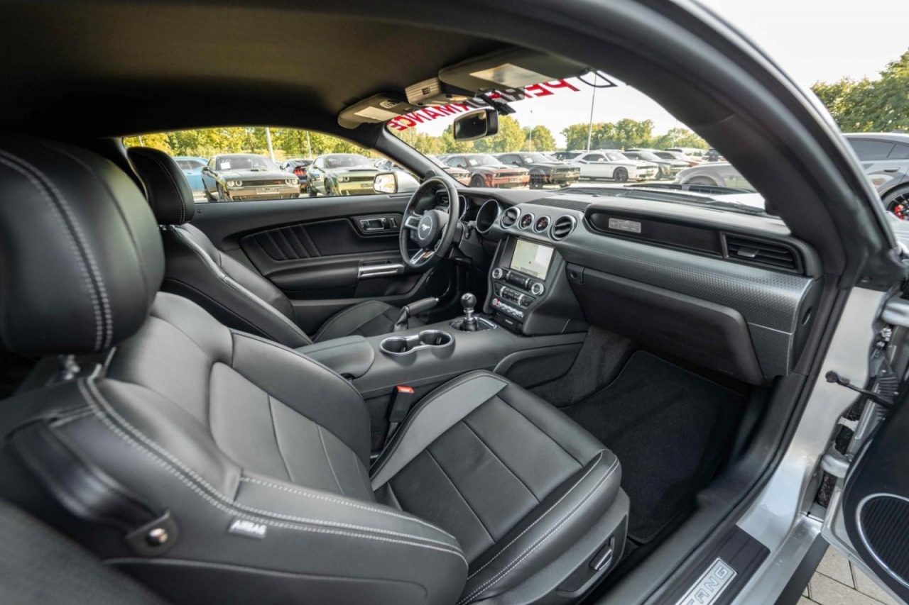 photo.jpg?1761339307