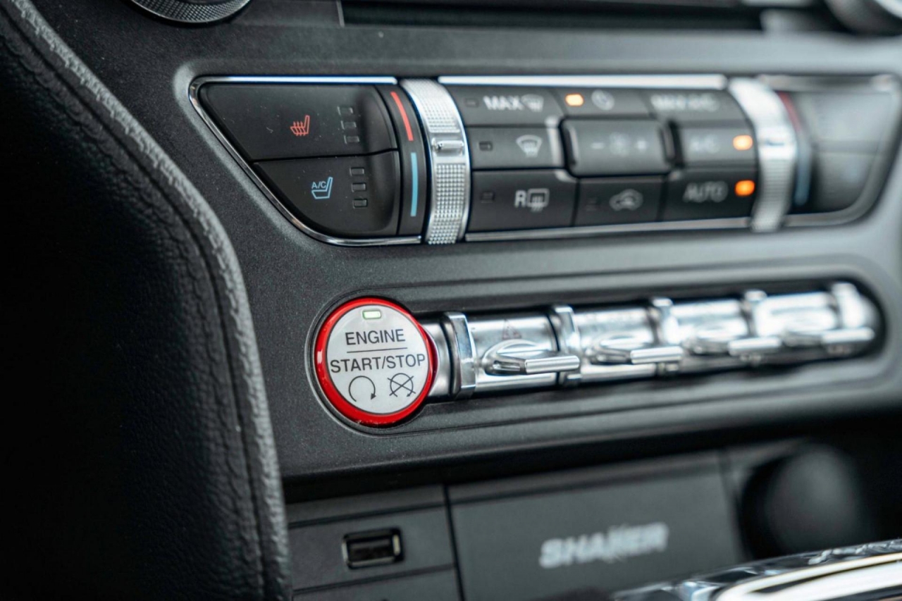 photo.jpg?1761339308