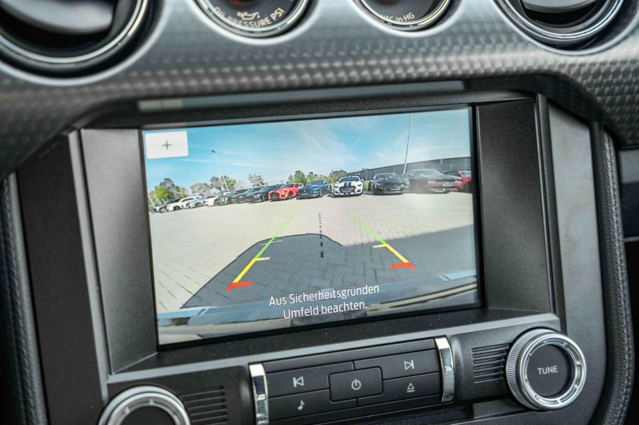 photo.jpg?1761339309