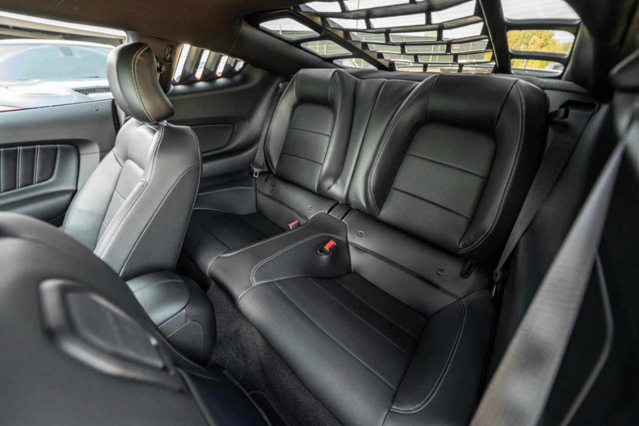 photo.jpg?1761339311