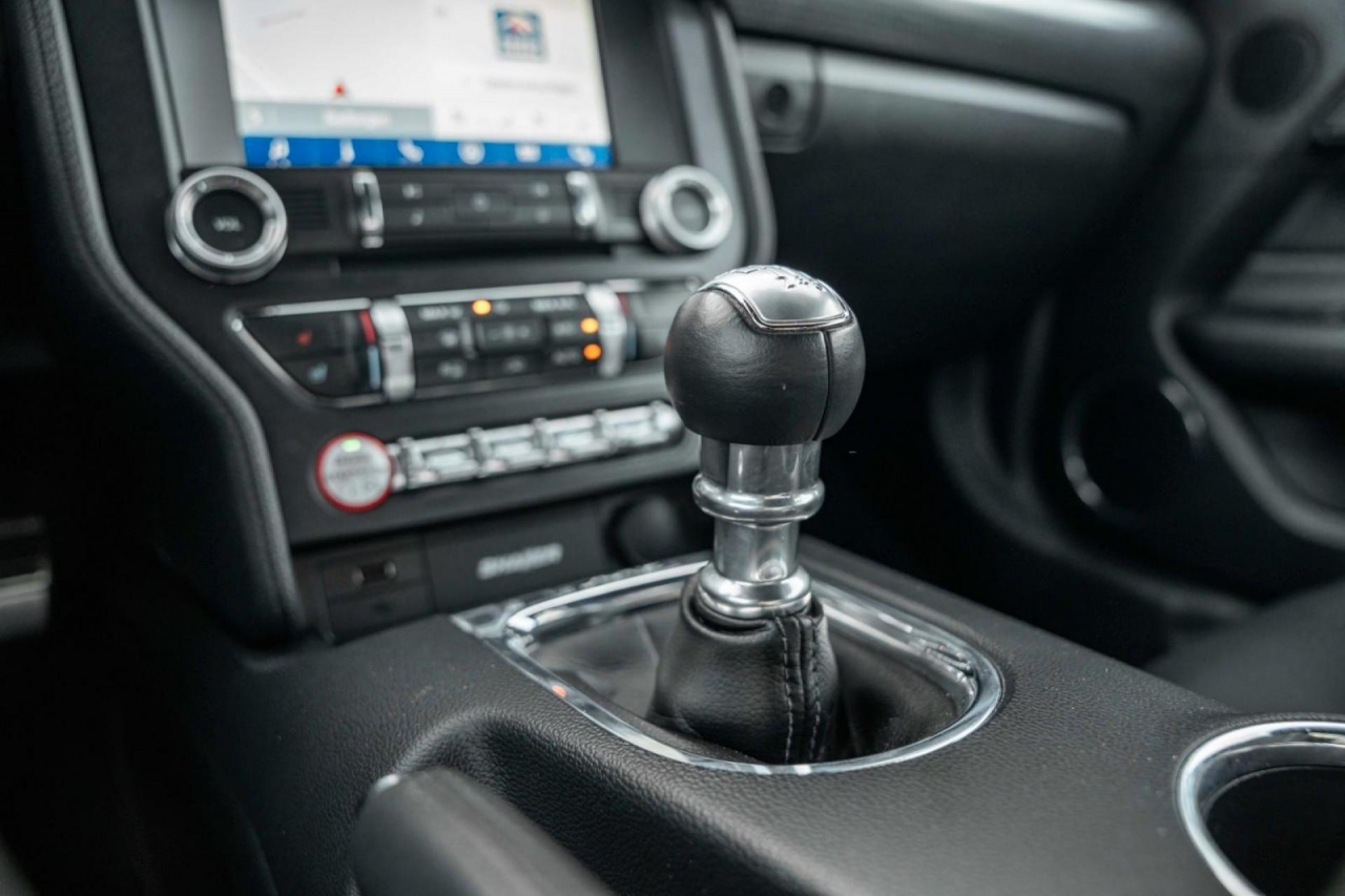 photo.jpg?1761339315