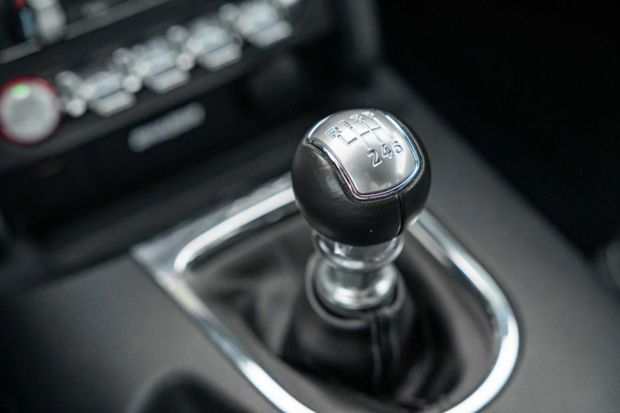 photo.jpg?1761339316