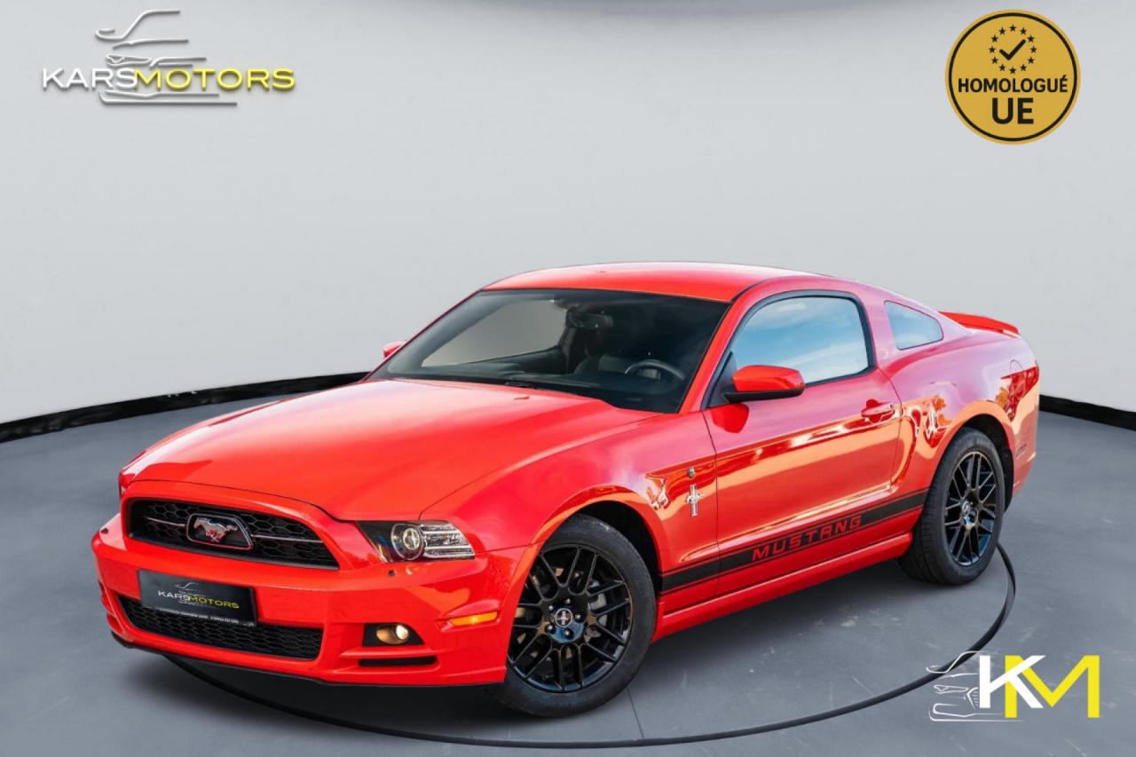 photo.jpg?1761339397