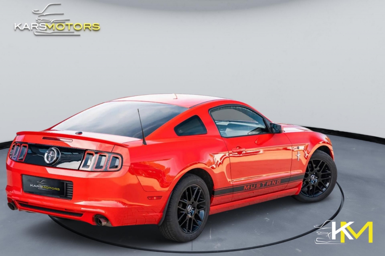 photo.jpg?1761339399