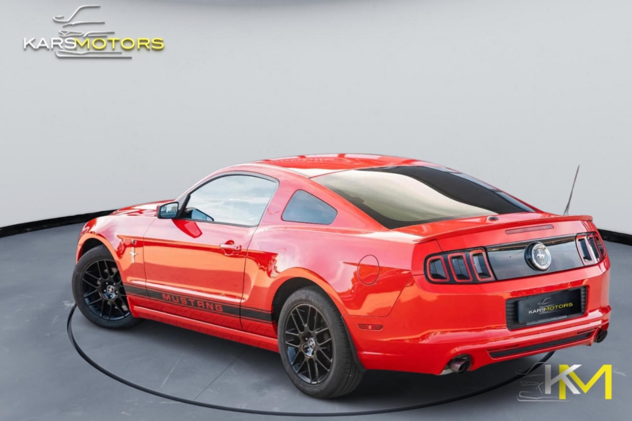 photo.jpg?1761339400