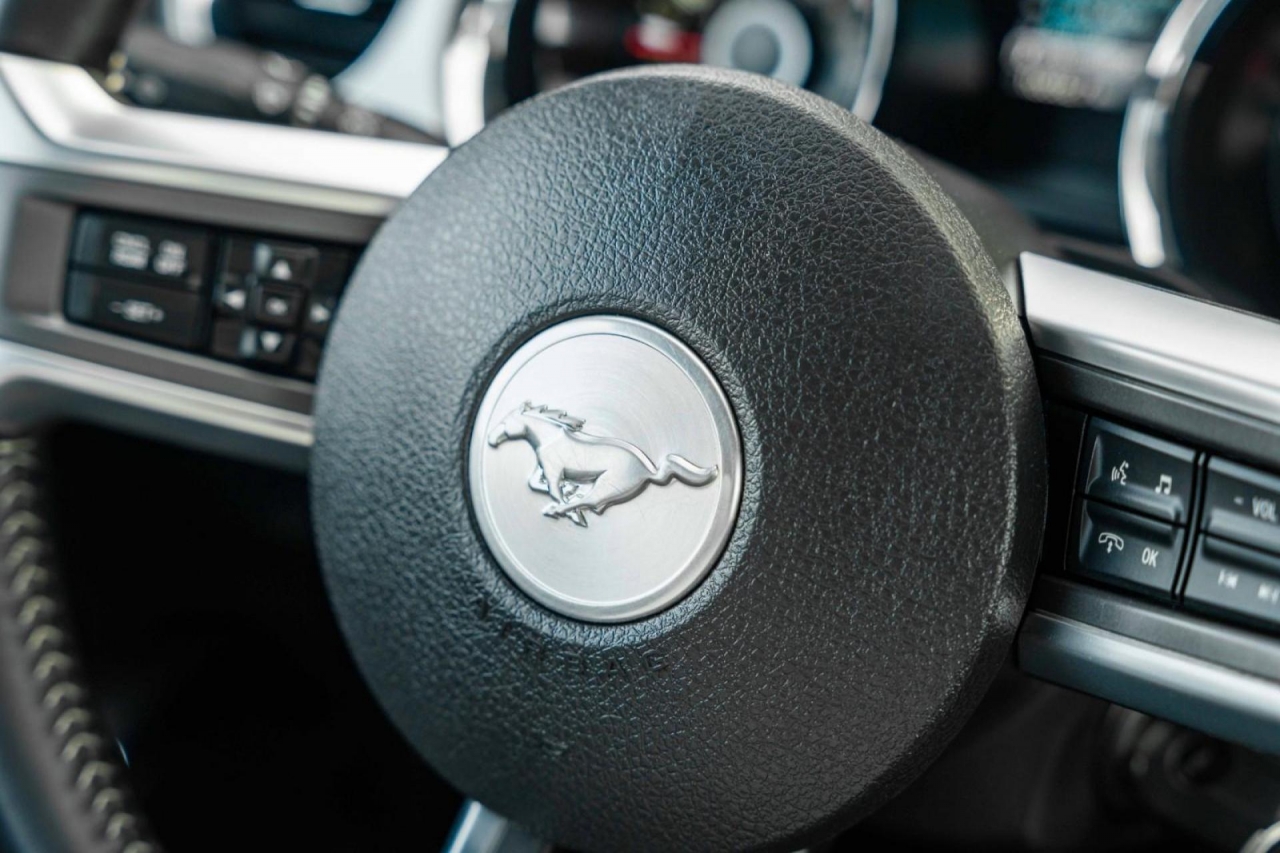 photo.jpg?1761339463