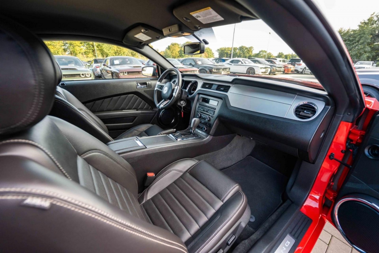 photo.jpg?1761339465