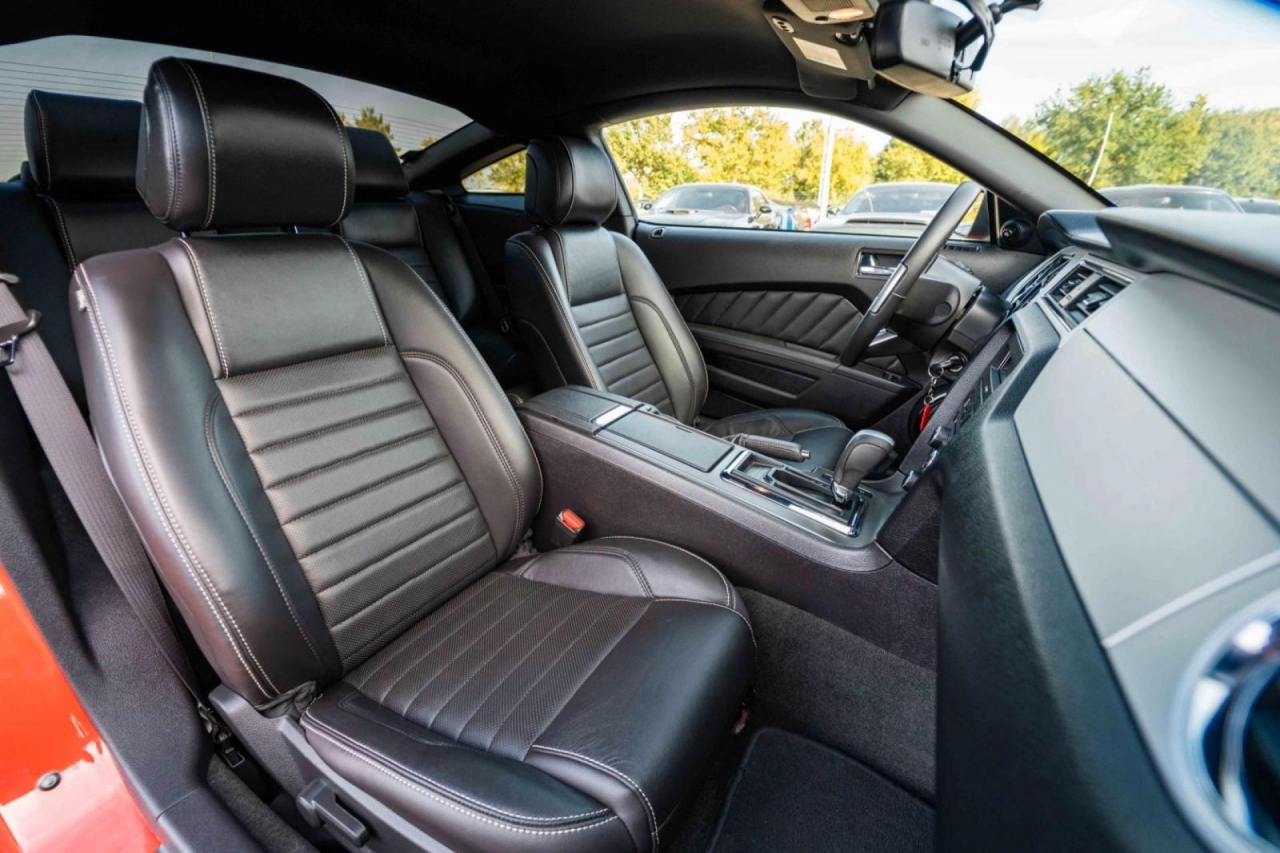 photo.jpg?1761339466