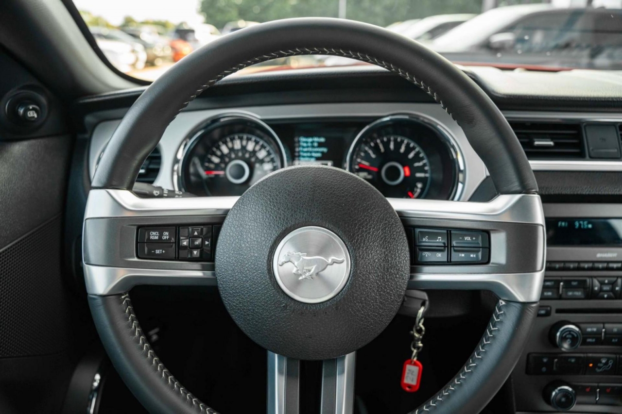 photo.jpg?1761339468