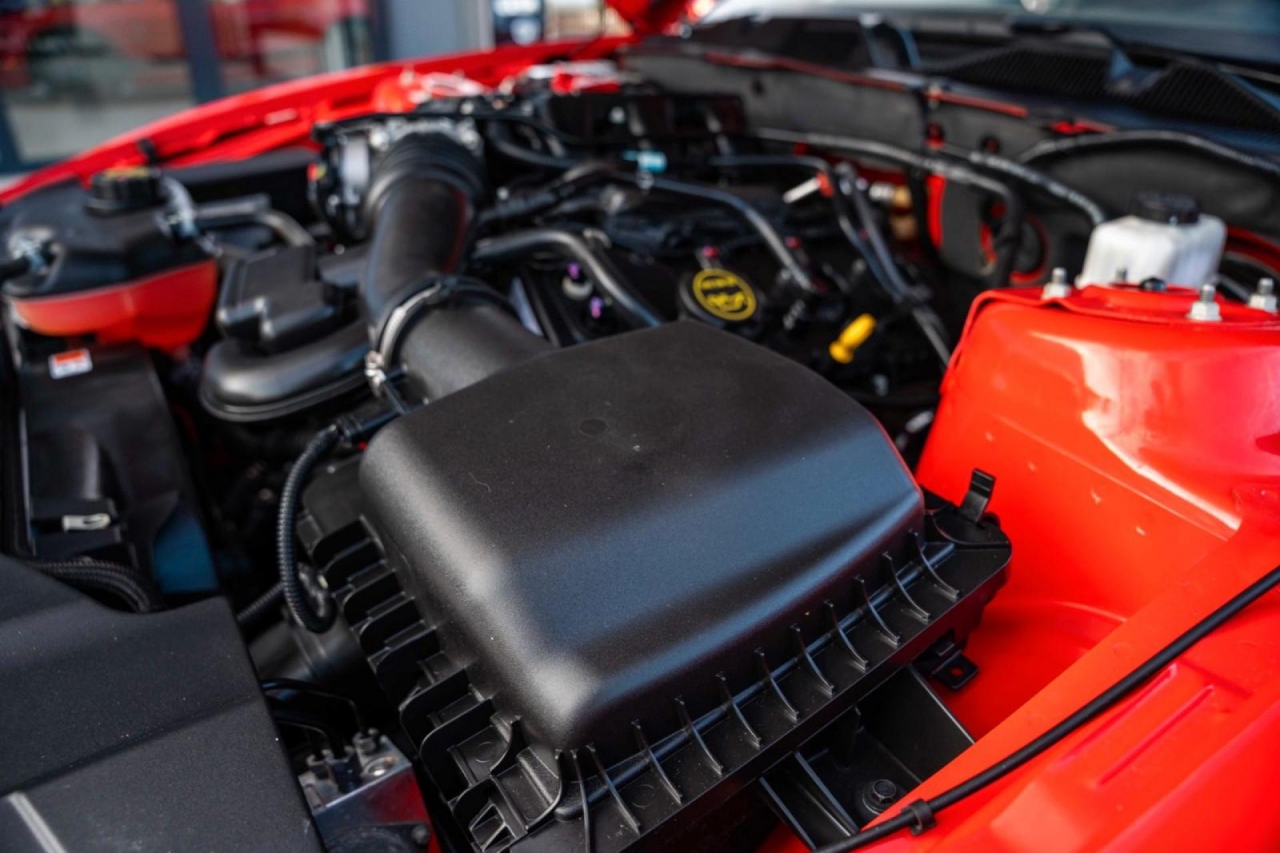 photo.jpg?1761339470