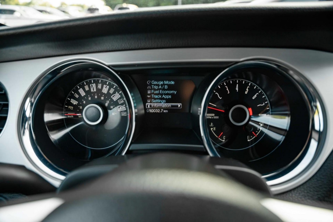 photo.jpg?1761339470