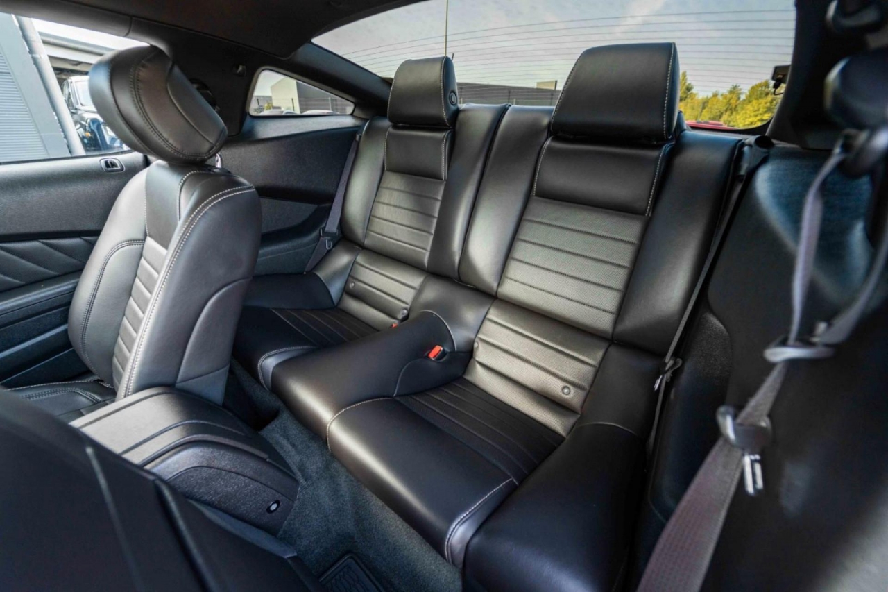 photo.jpg?1761339473