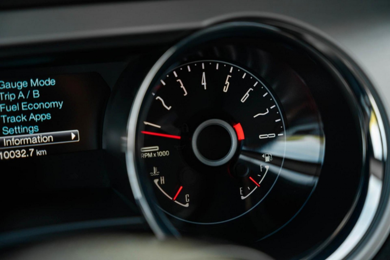 photo.jpg?1761339474