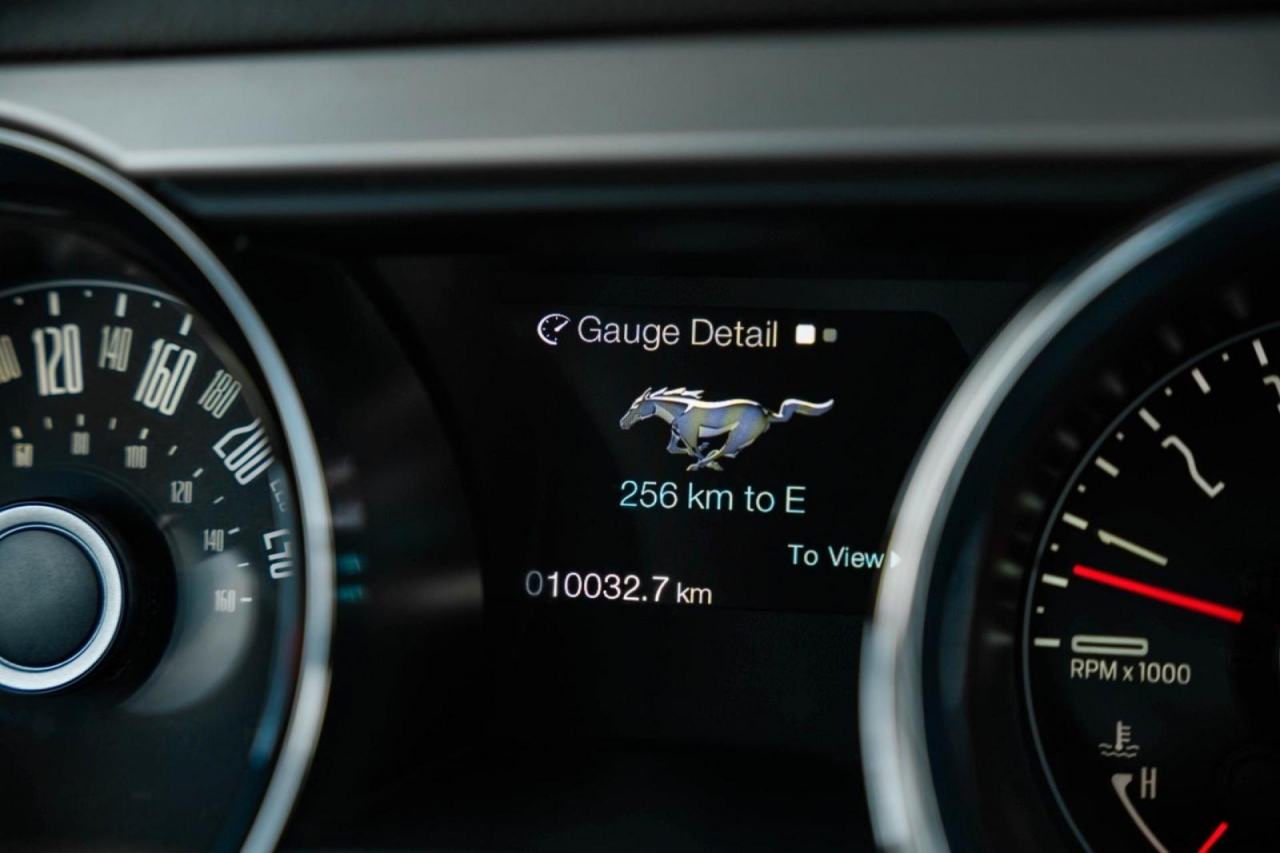 photo.jpg?1761339476