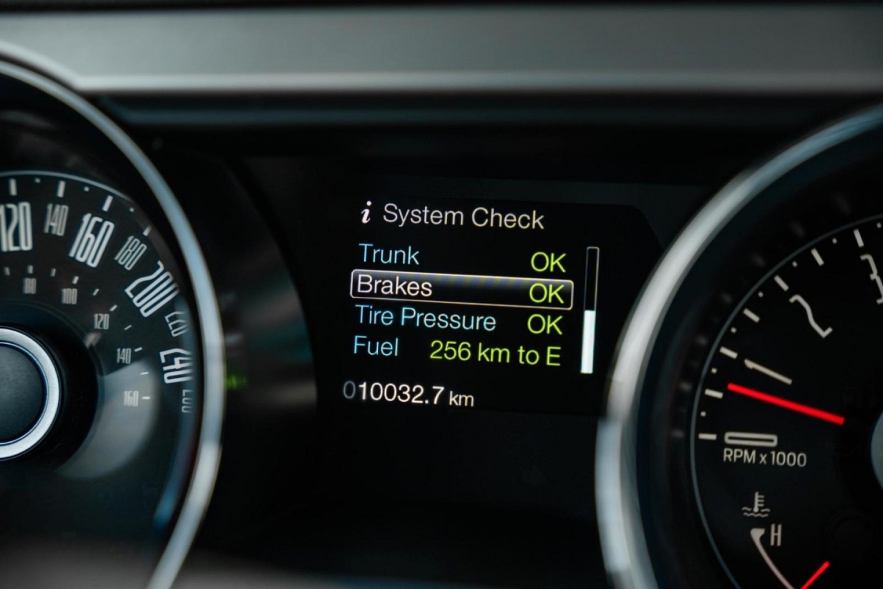 photo.jpg?1761339476