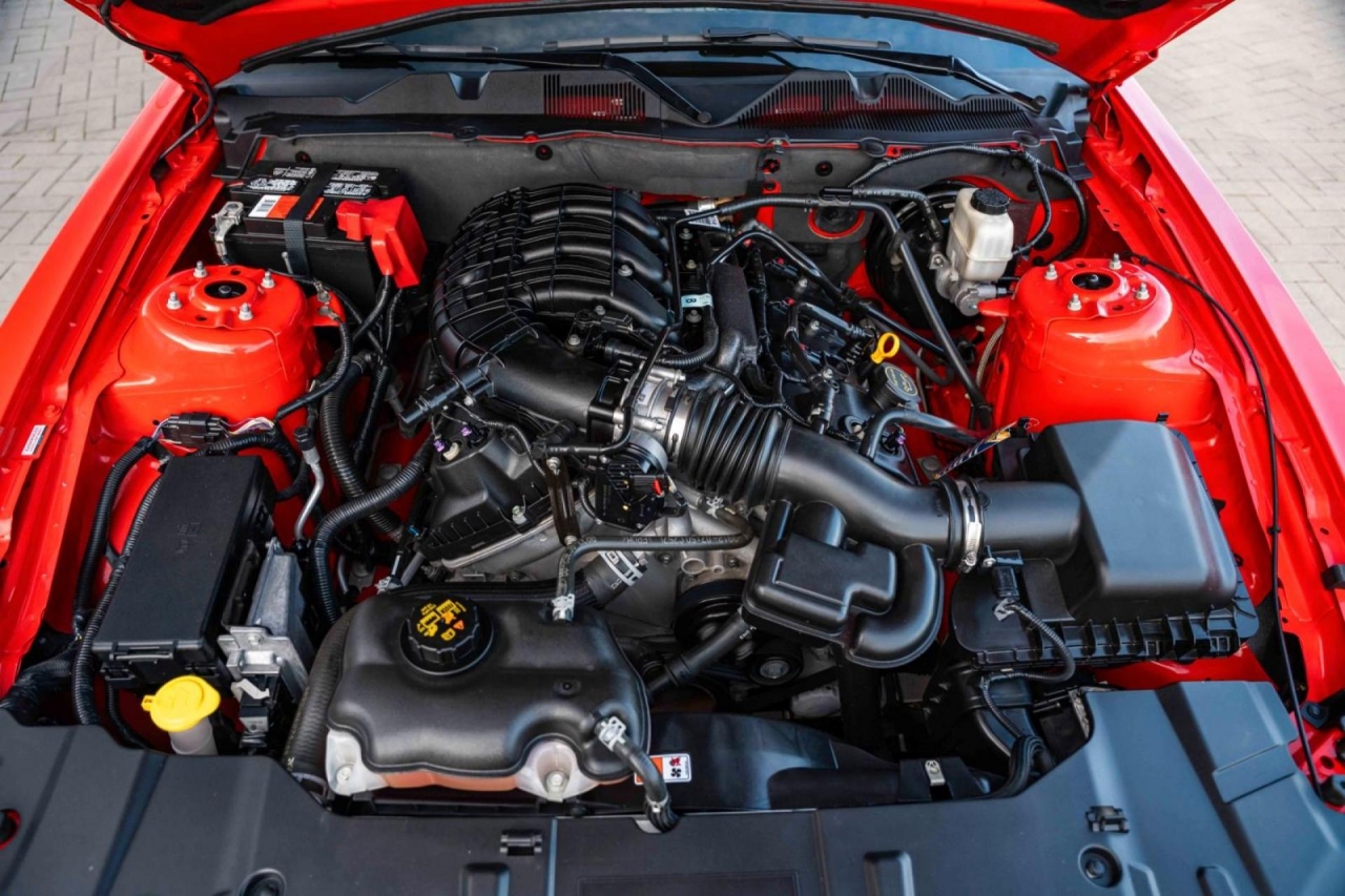 photo.jpg?1761339477