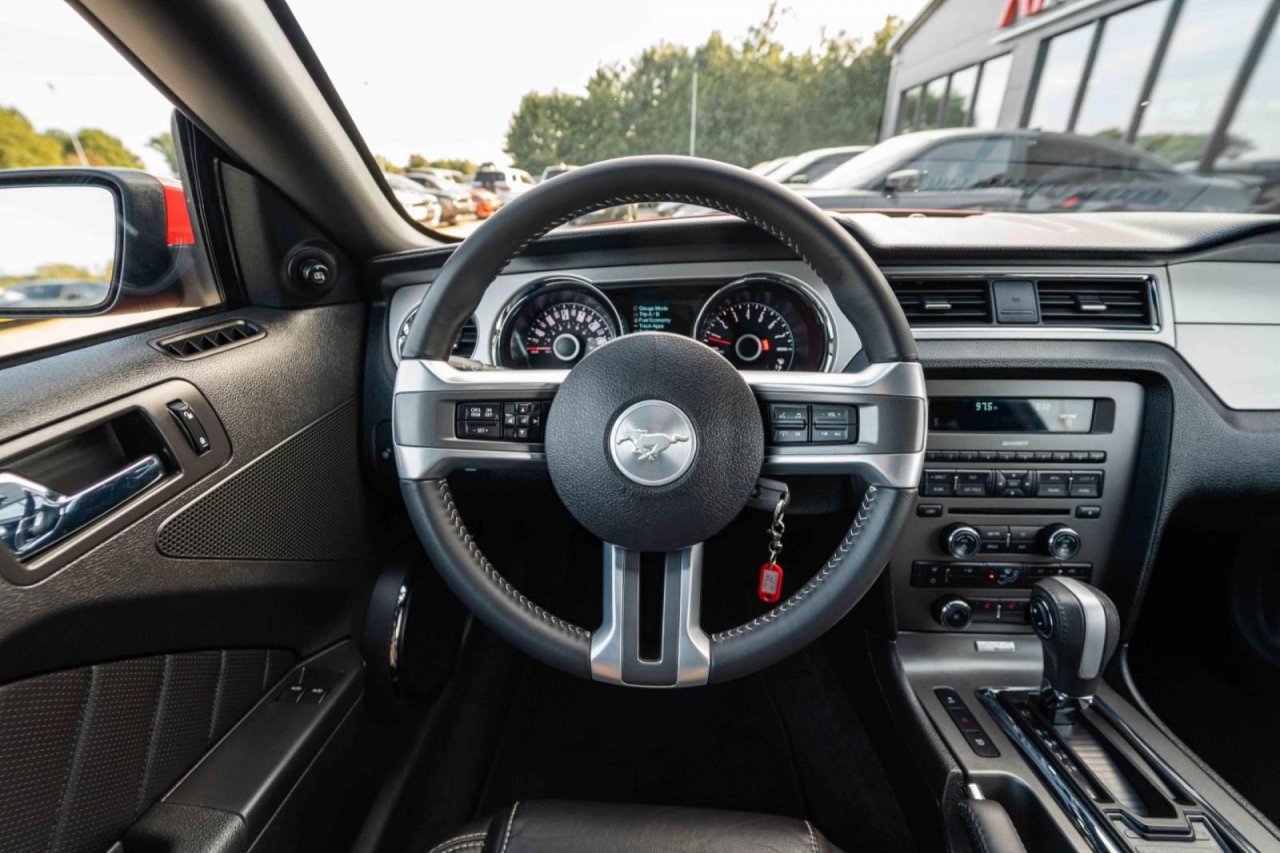 photo.jpg?1761339479