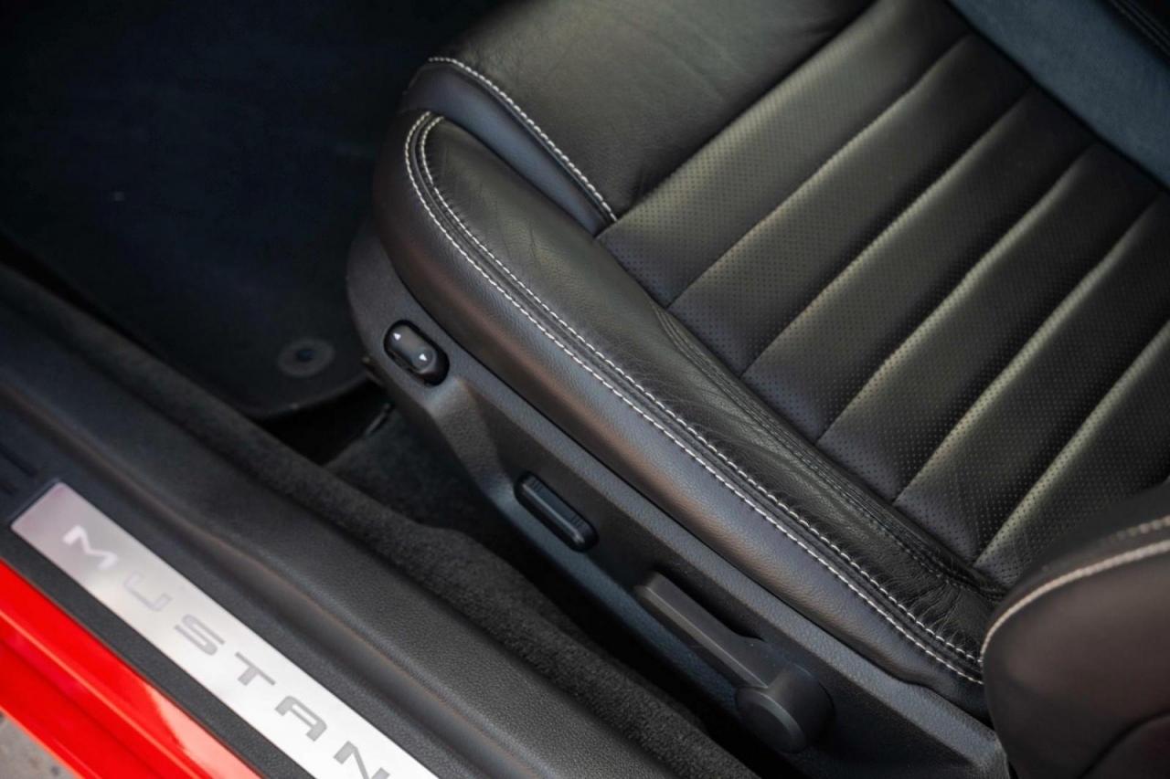 photo.jpg?1761339480