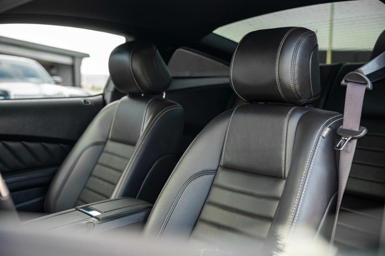 photo.jpg?1761339480