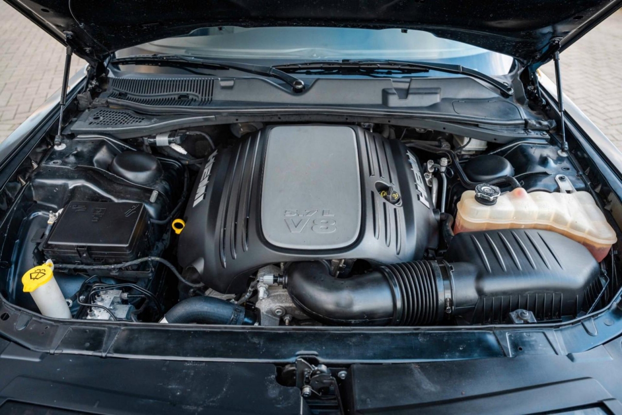 photo.jpg?1761339611