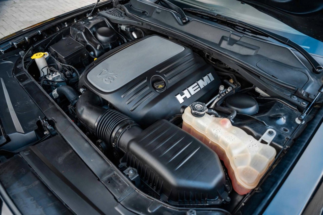 photo.jpg?1761339612