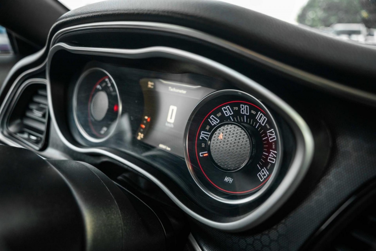 photo.jpg?1761339624