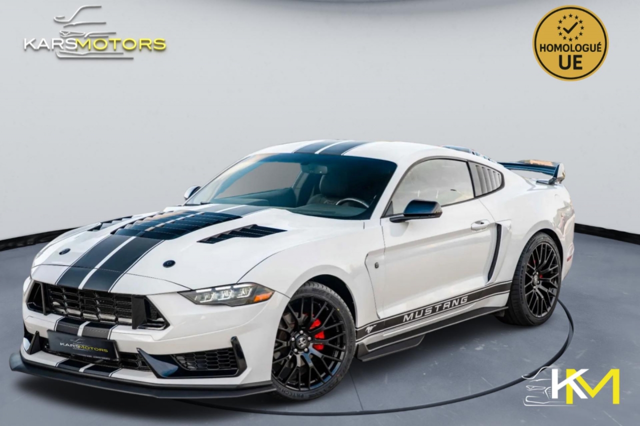 photo.jpg?1761339710