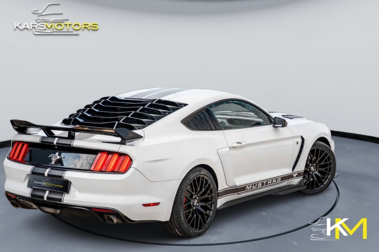 photo.jpg?1761339710