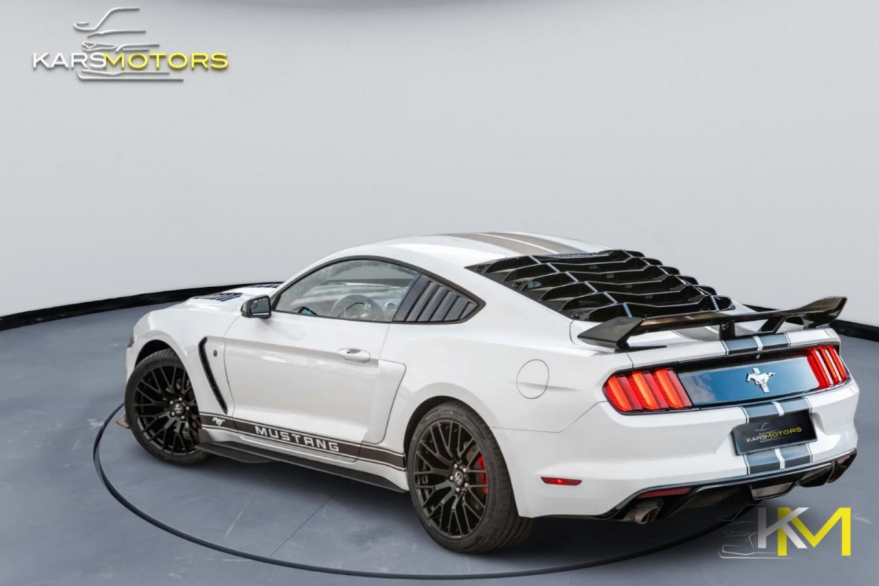 photo.jpg?1761339711