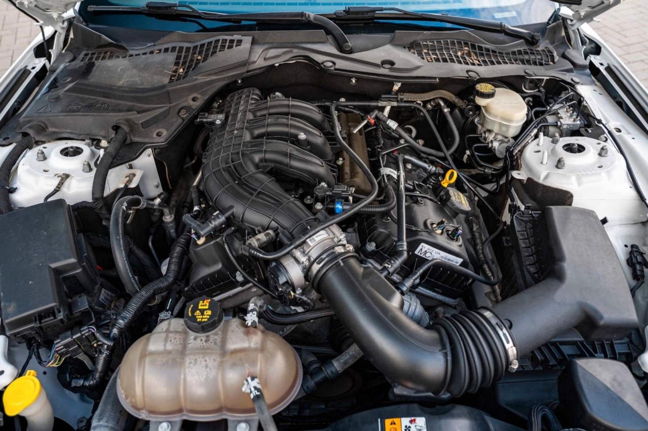 photo.jpg?1761339771