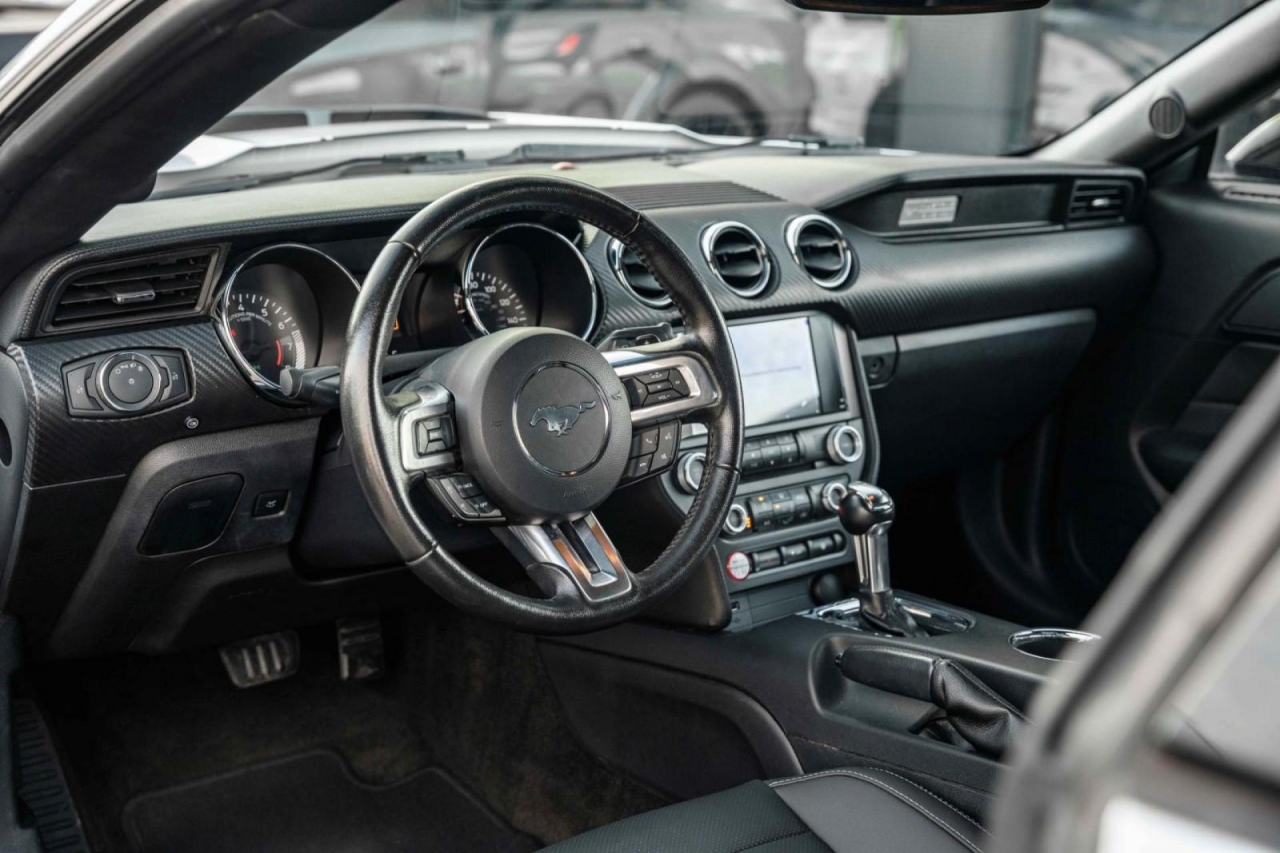 photo.jpg?1761339773