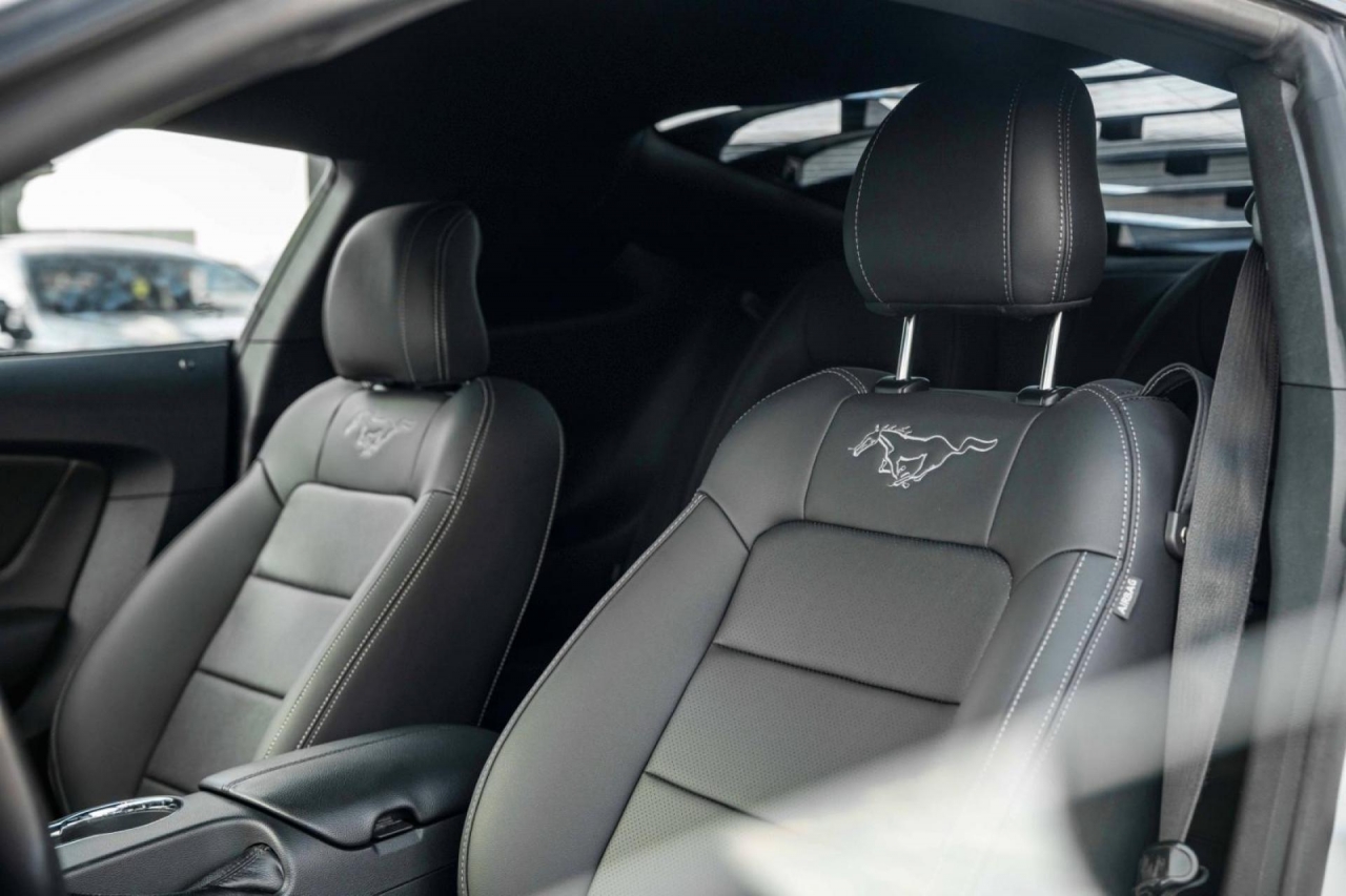 photo.jpg?1761339773