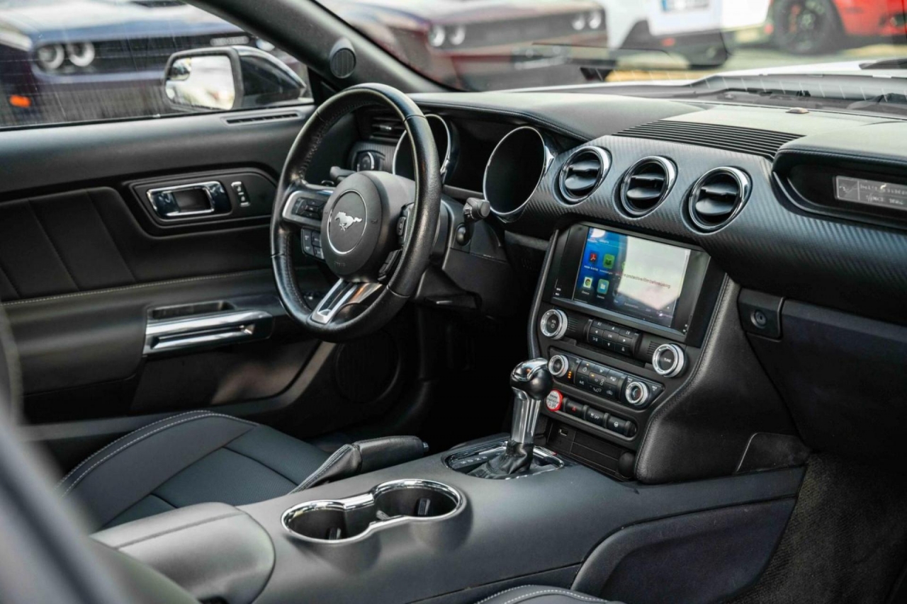 photo.jpg?1761339774