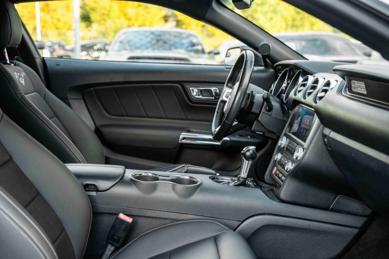 photo.jpg?1761339775