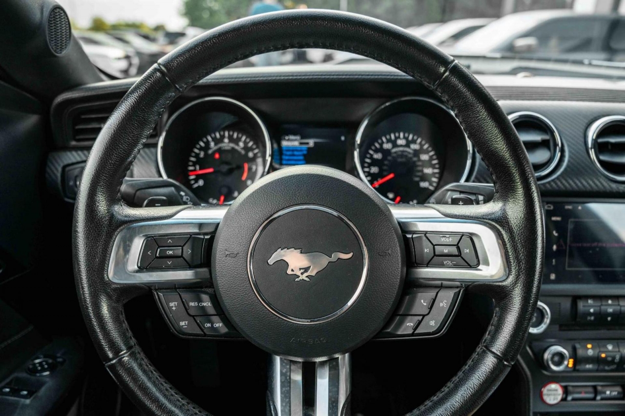 photo.jpg?1761339776