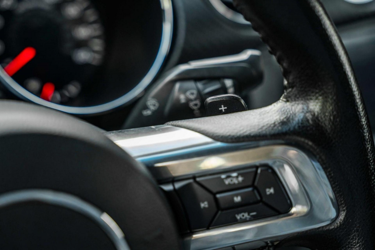 photo.jpg?1761339777