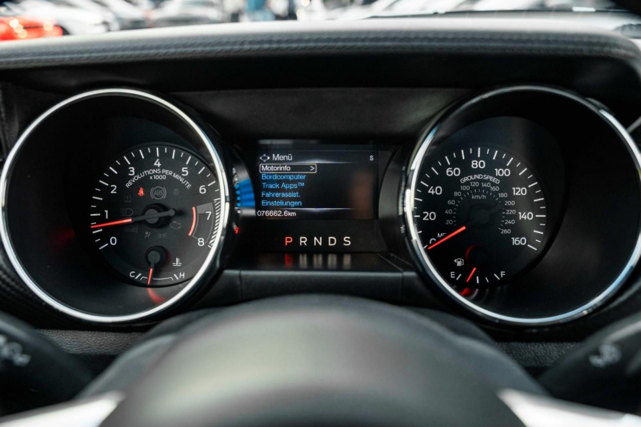 photo.jpg?1761339777