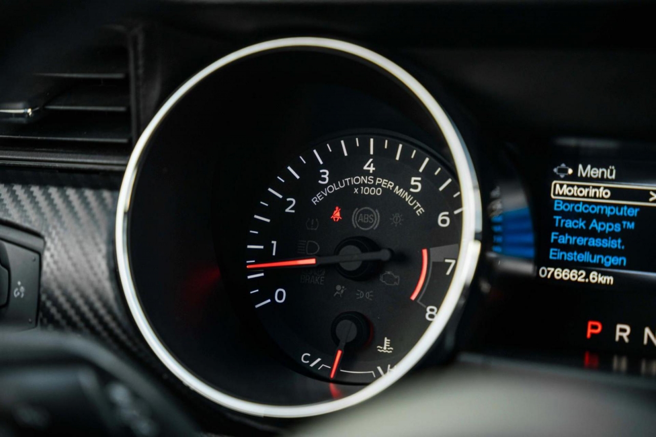 photo.jpg?1761339778