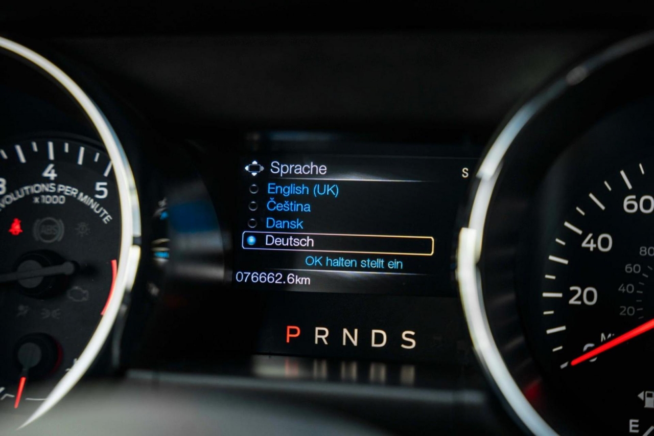 photo.jpg?1761339781