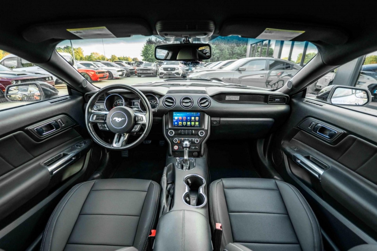 photo.jpg?1761339783